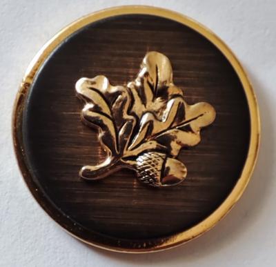 Bouton 20 Feuille Chêne avec Gland